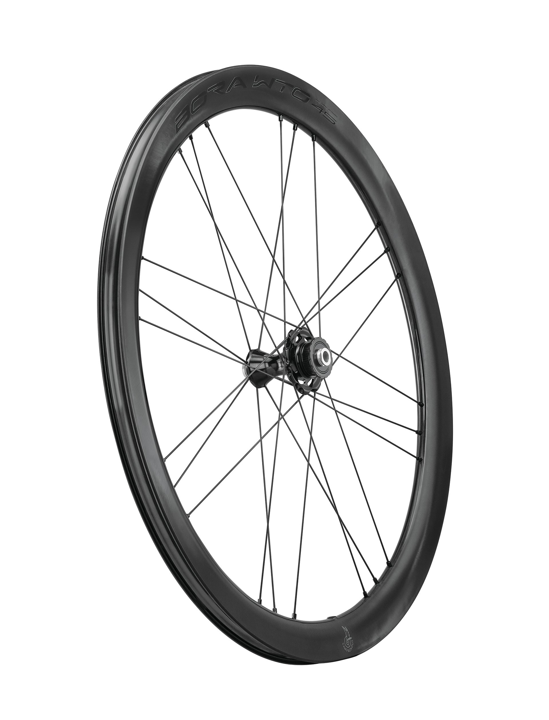 BORA WTO 45 Disc Brake 2WF C23 Wheelset