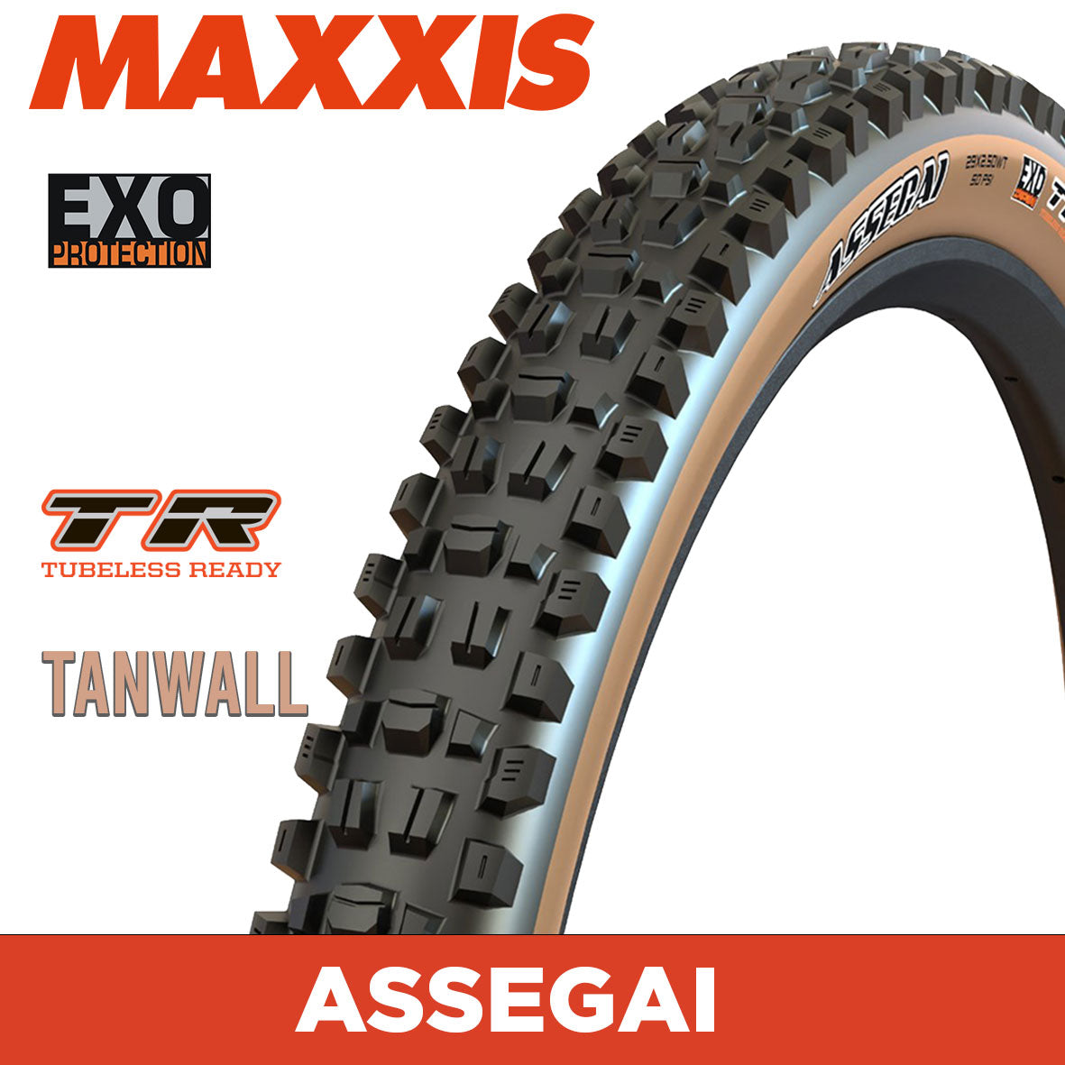 MAXXIS Assegai - 29 X 2.60 - Folding TR - EXO 60 TPI - Dual Compound - Tan Wall