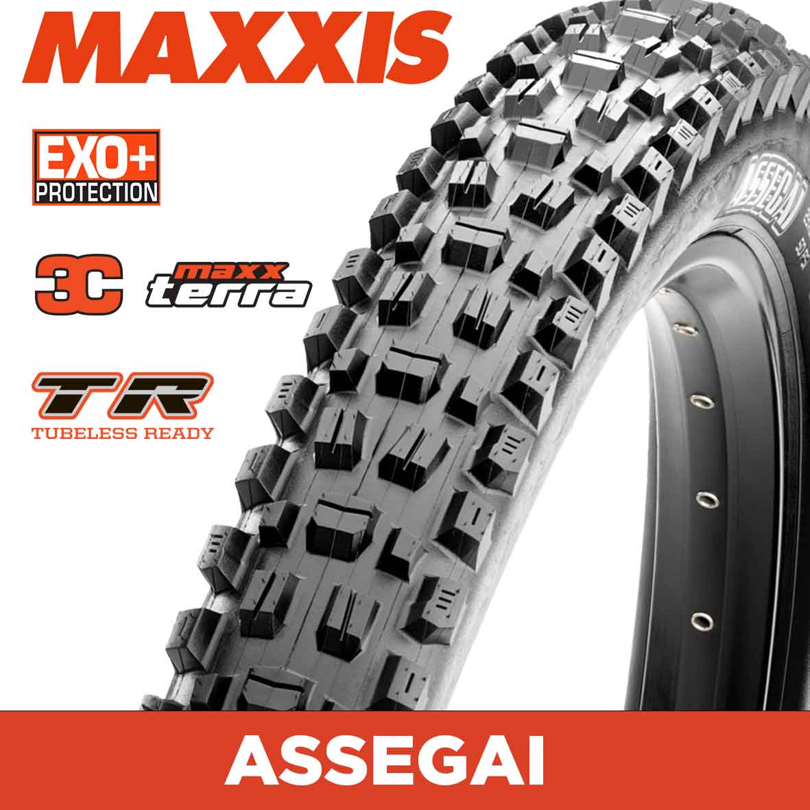 MAXXIS Assegai - 27.5 X 2.50 WT - Folding TR - EXO+ 60TPI - 3C MaxxTerra - Black