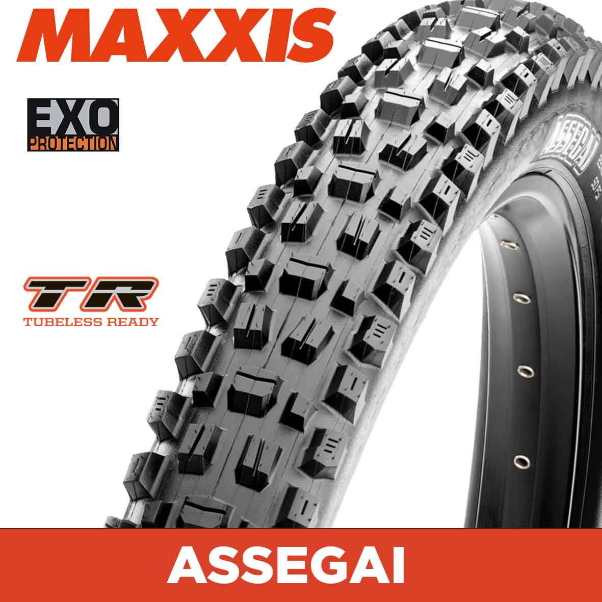 MAXXIS Assegai - 27.5 X 2.50 WT - Folding TR - EXO 60 TPI - Dual Compound - Black