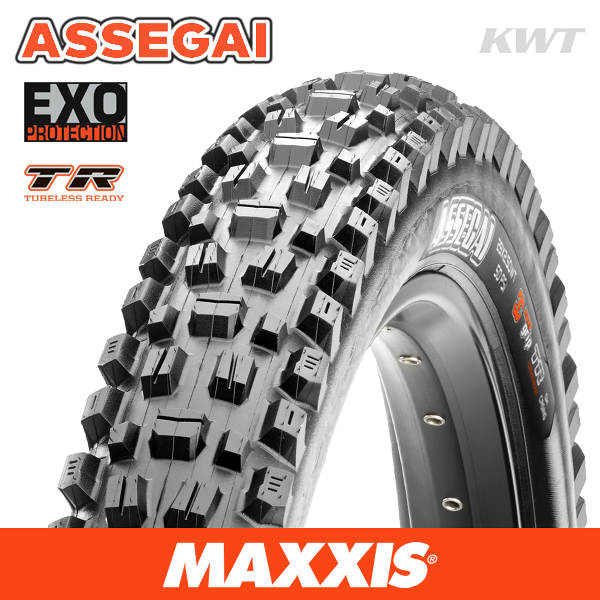 MAXXIS ASSEGAI 29 X 2.50 FOLD EXO TR